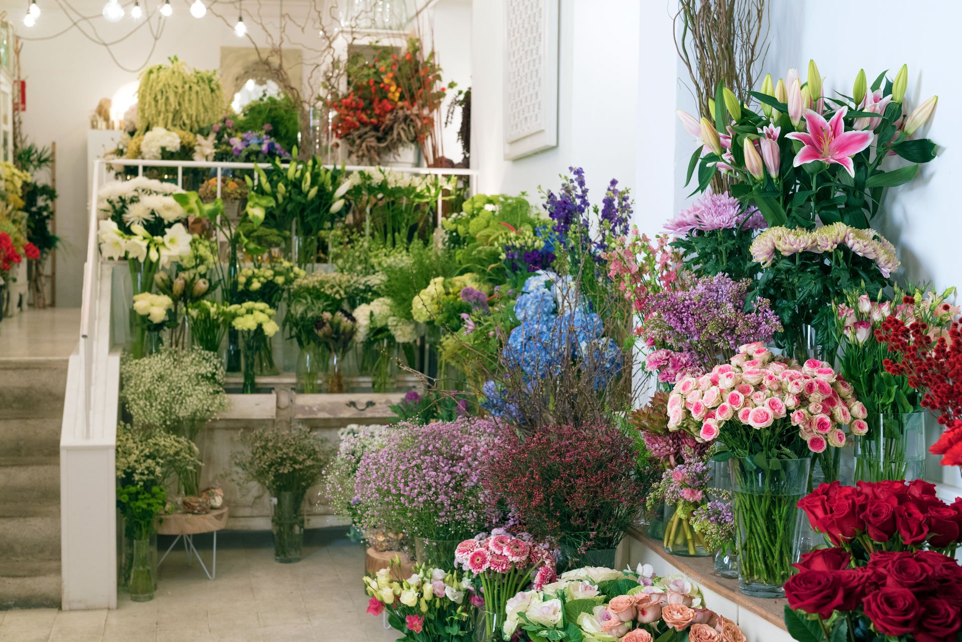 Consejos para elegir una floristería en Madrid Centro