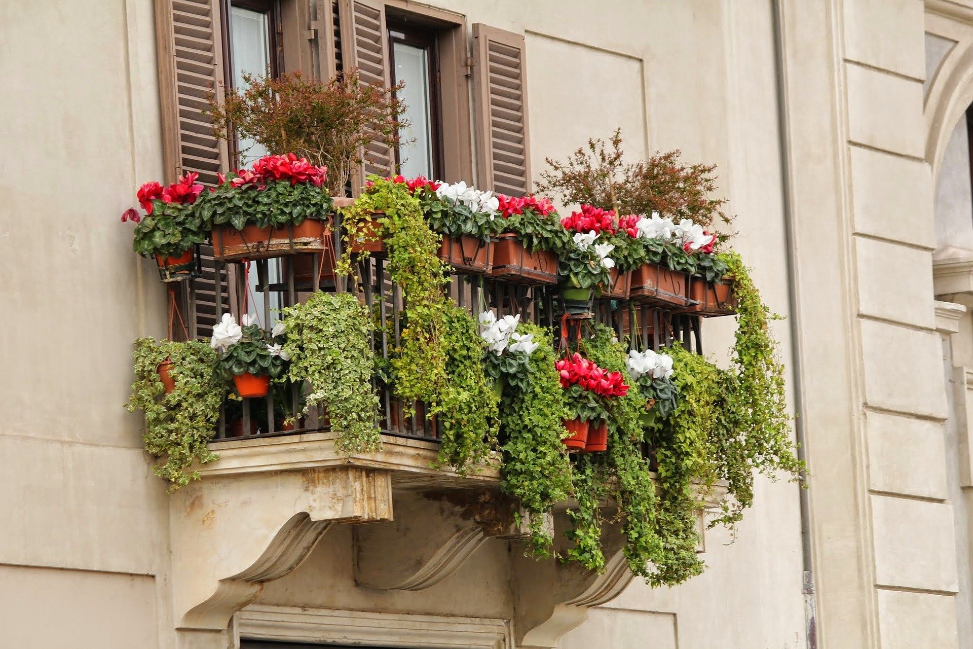Las mejores plantas para balcones