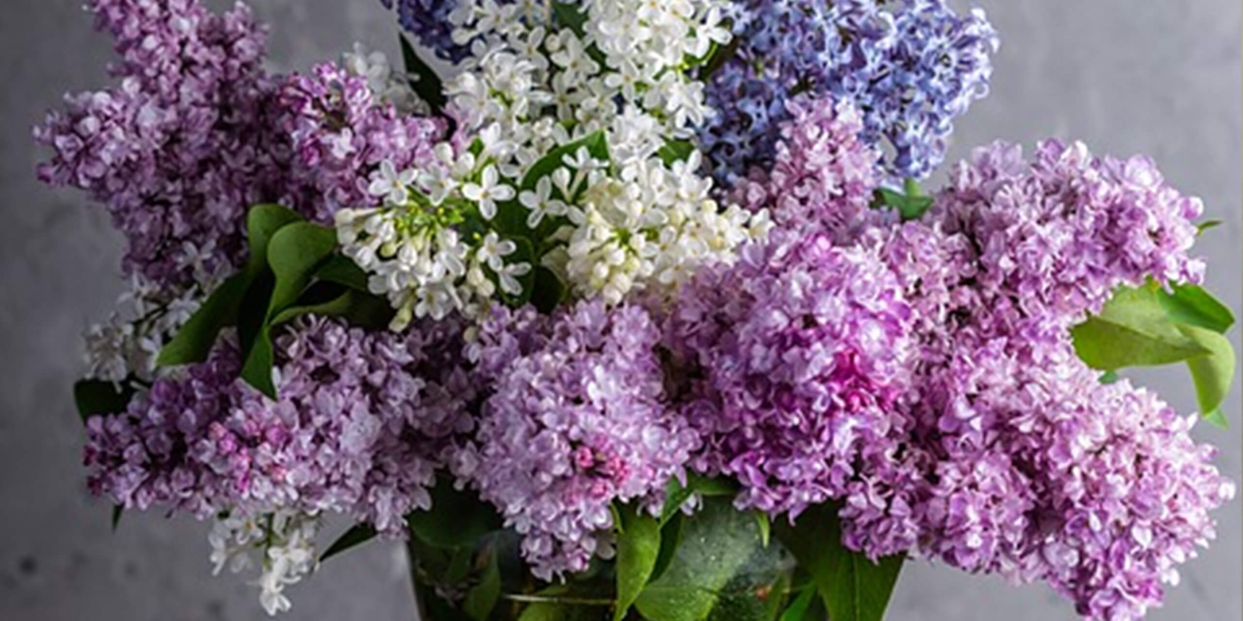 Enviar flores a domicilio: una agradable sorpresa siempre